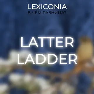 Latter vs Ladder