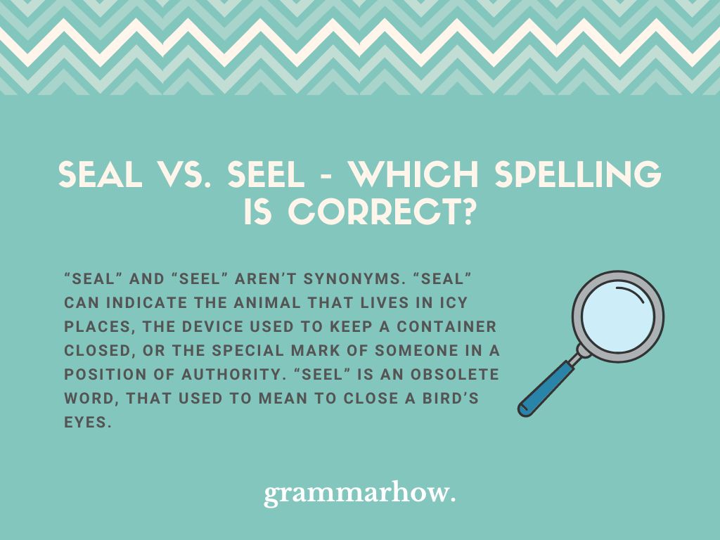 Seal or Seel